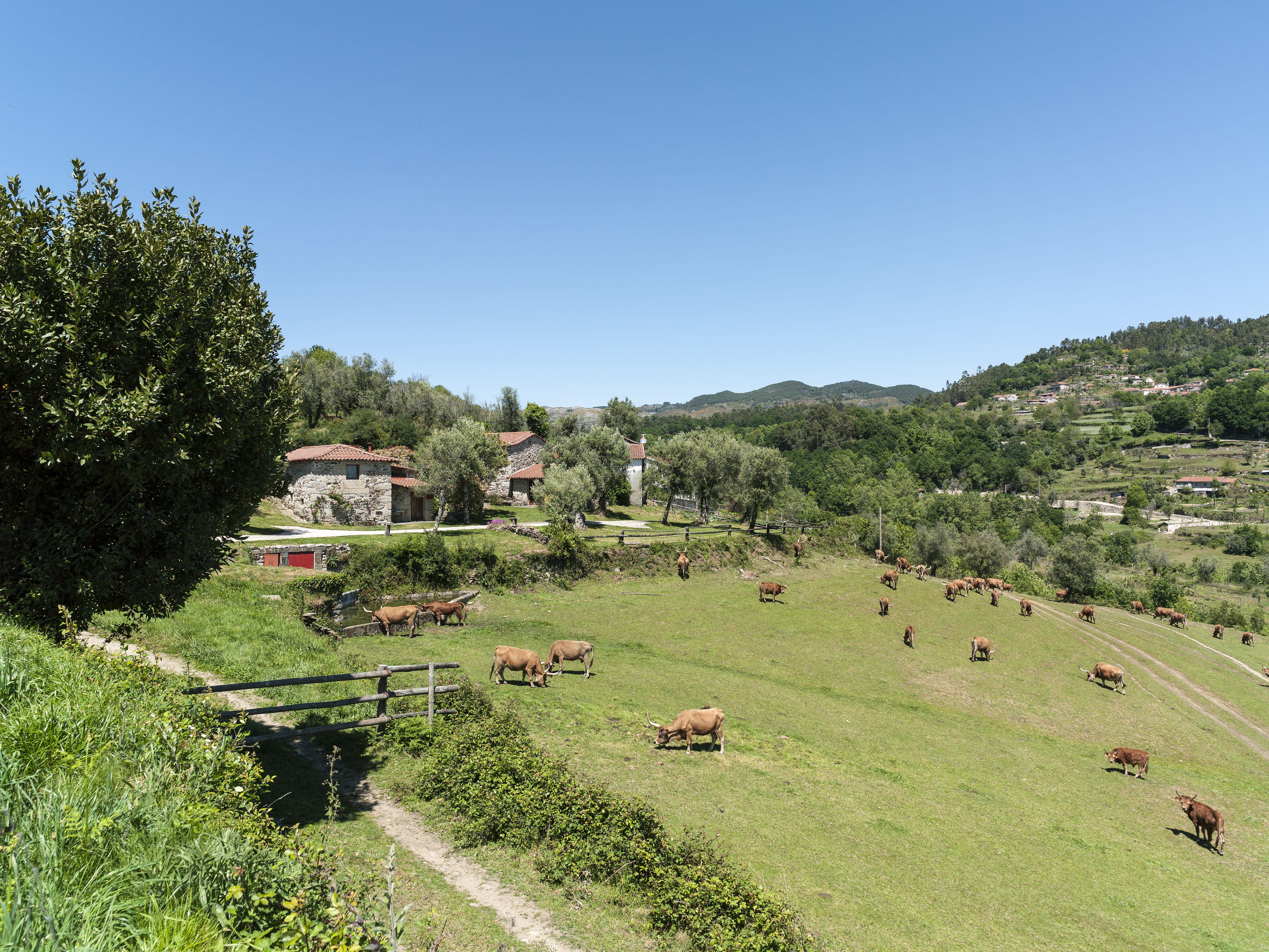 Quinta Do Rapozinho Villa Cabeceiras de Basto Eksteriør bilde