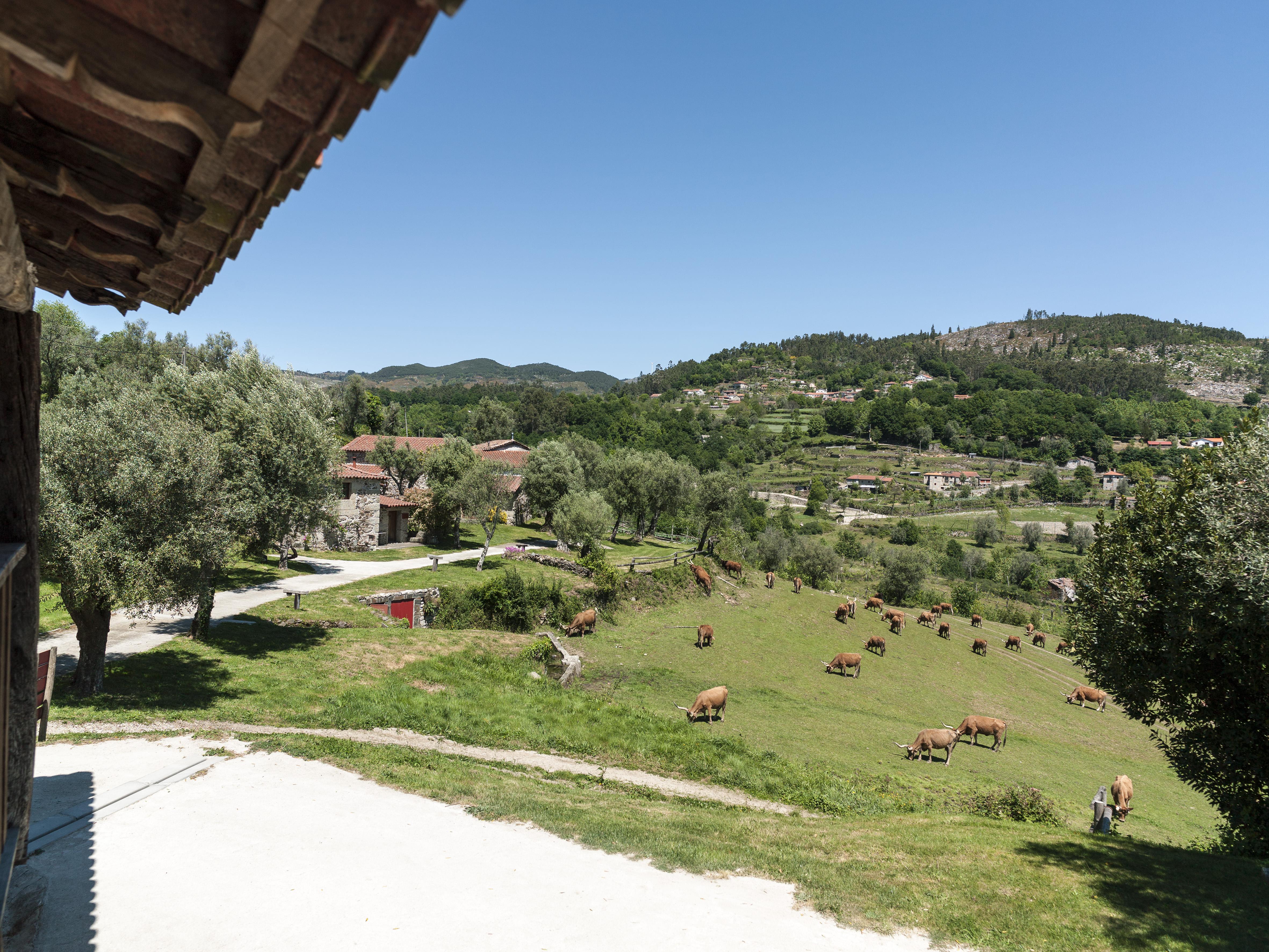 Quinta Do Rapozinho Villa Cabeceiras de Basto Eksteriør bilde